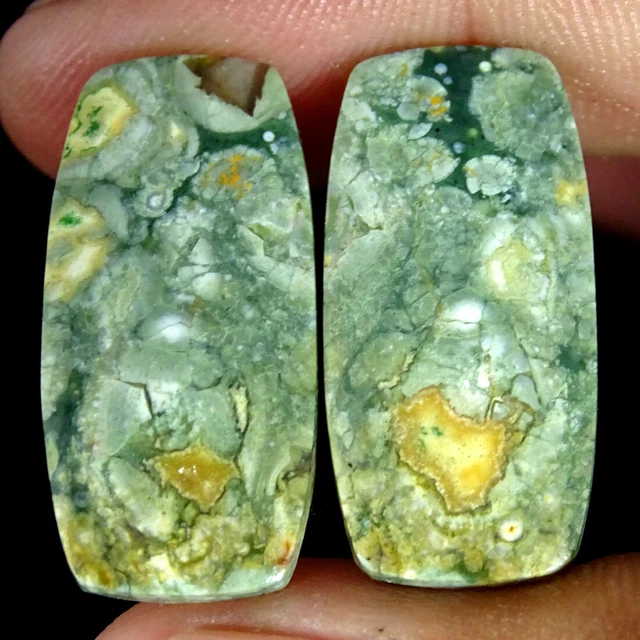 23.50Cts Natürlich Regenwald Jaspis Paar Rhyolite Kissen Cabochon Lose Edelsteim