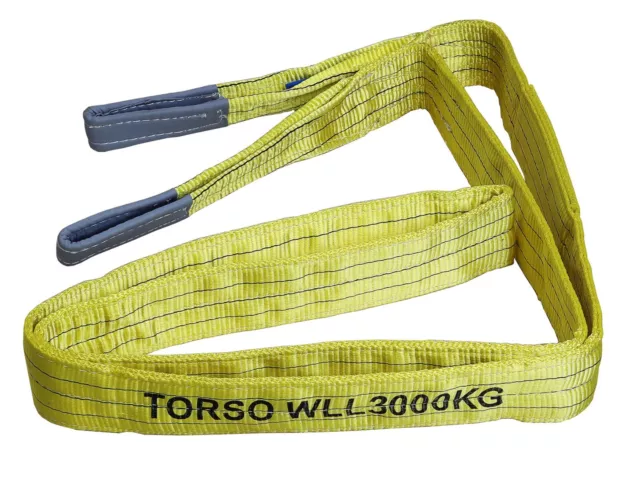 Nastro di sollevamento 3t con 2 passanti lunghezza 4 m, 2 strati slittamento WS34J imbracatura rotonda 02187