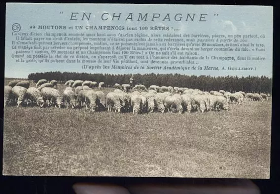 99 Moutons  Le Berger Et Les Moutons   400  Etc