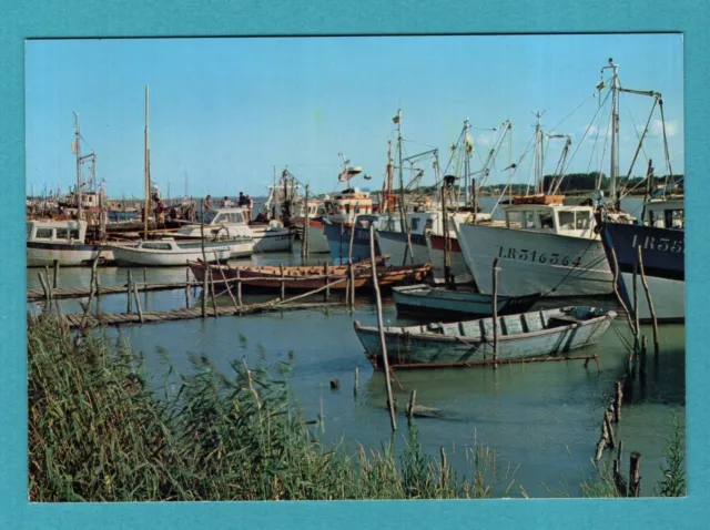 L'Aiguillon-sur-Mer : Le Port de Pêche   / CPA , Carte Postale ancienne /Nh