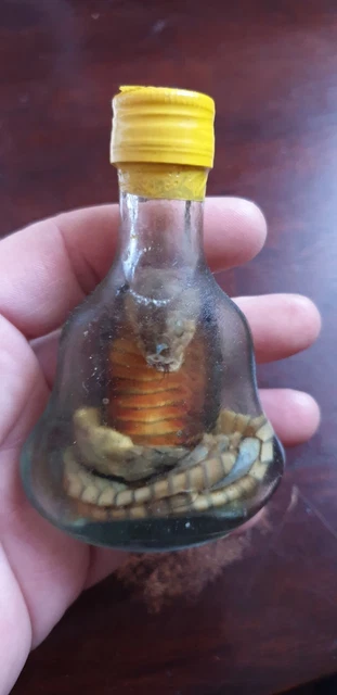 Alcool De Serpent Chinois Chinese Snake Liquor Ancien Petite Bouteille Ancienne