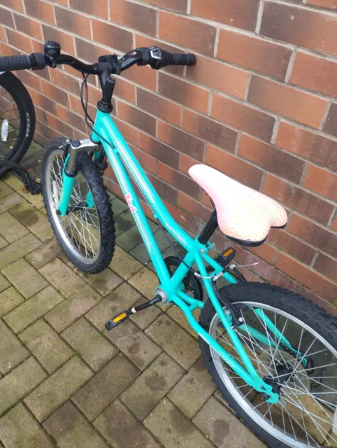 APOLLO ZEST GIRLS bike 20 inch wheels 40.00 PicClick UK