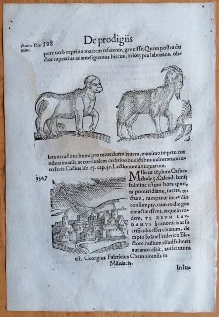 Wolfhart Chronicon Originalblatt Monster Himmelserscheinungen  (598) 1557
