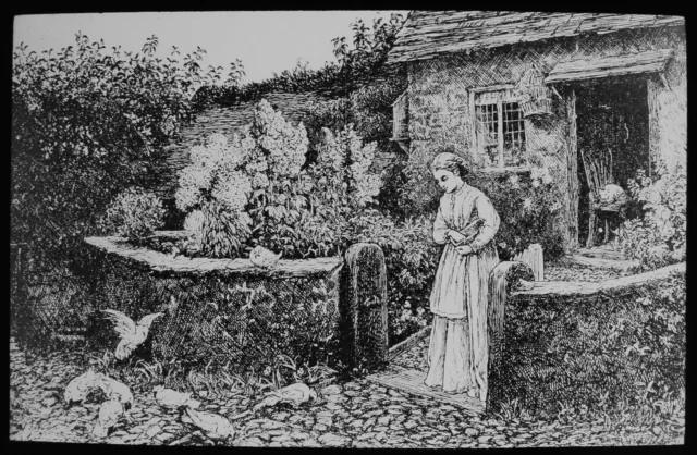 THE FARMERS DAUGHTER FEEDING CHICKENS C1890 ANTIQUE Magic Lantern Slide