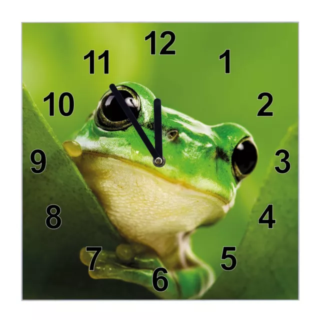 banjado Wanduhr aus Glas 30x30cm Glasuhr geräuscharm Uhr Frosch