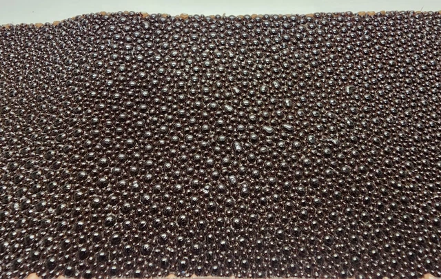 Stingray Remnant SRB-01549
