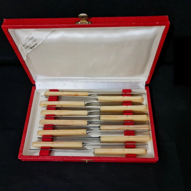 COFFRET ANCIEN 12 COUTEAUX LAMES INOX INDEMANCHABLES BAKELITE Blanc Casse D Imgx500 9665