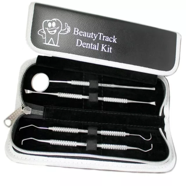 Dental Kit Tooth Scraper Mirror Scaler Set Tartar Calculus Plaque Remover Case 2