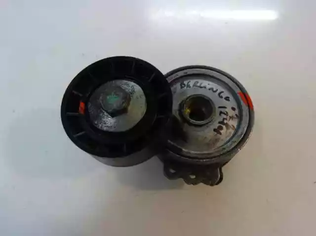 galet tendeur pour CITROEN BERLINGO FIRST LIMUSINA 1.9 D 1999 2007 94111