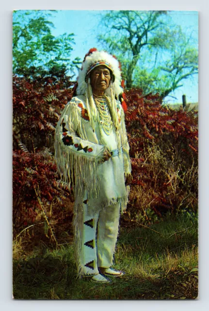 Postcard Sam Tilden Sumken Native American Indian Nez Perce 1960s Unposted