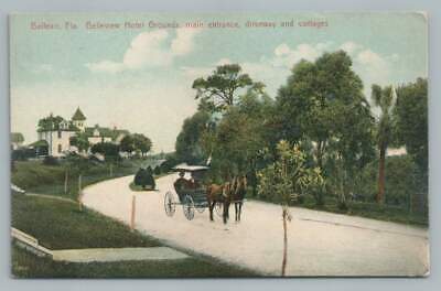 Hotel Driveway BELLEAIR Florida Pinellas County Antique Leighton Postcard 1910s