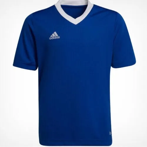 Maglietta da calcio Adidas Kids Entrada 22 blu aeroready HG3948/9-10y spedizione gratuita