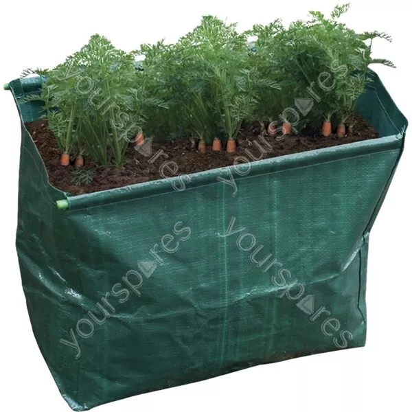 St Helens Home and Garden Carrot Planter - Pack of 2