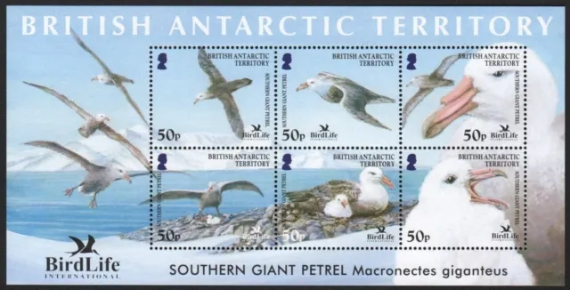 BAT / Brit. Antarktis 2005 - Mi-Nr. Block 12 ** - MNH - Vögel / Birds