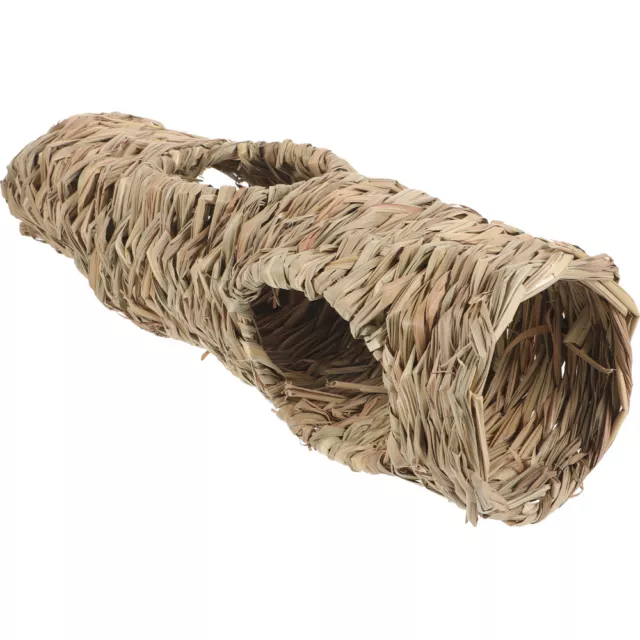 Animal De Compagnie Tunnels Pour Cobayes Petit Cochon D'Inde