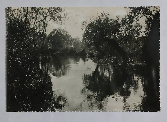 FIUMEFREDDO SI SICILIA ( CATANIA) Suggestivo tratto del fiume vg 1958 f.g.