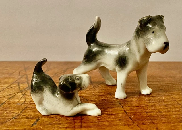 Chien Fox Terrier En Velours, Intérieur Paille, Années 30