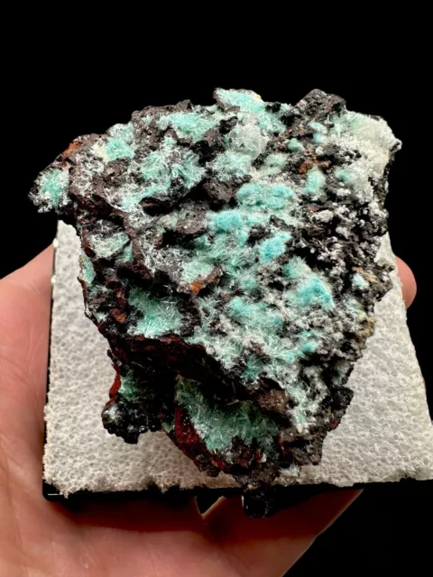 Aurichalcite Crystals : Blanchard Mine. Bingham, Socorro County, New Mexico 🇺🇸