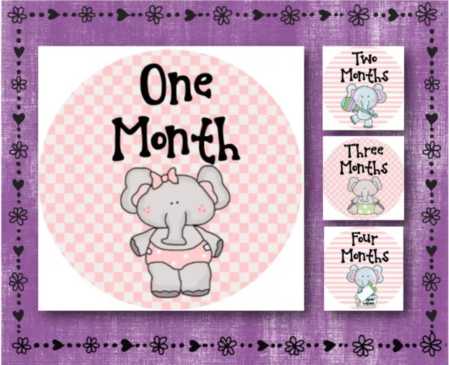 Baby Elephant - PINK - Baby Month 1-12 - Milestone Stickers - 2.5" Round Glossy
