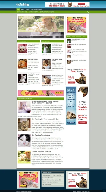 Gatto Formazione Guida Sito Web Con Affiliazione Streams - 1 Mesi Hosting