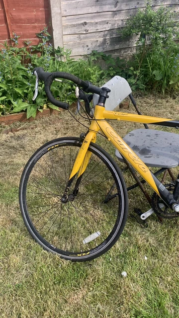 Carrera tdf road bike hotsell