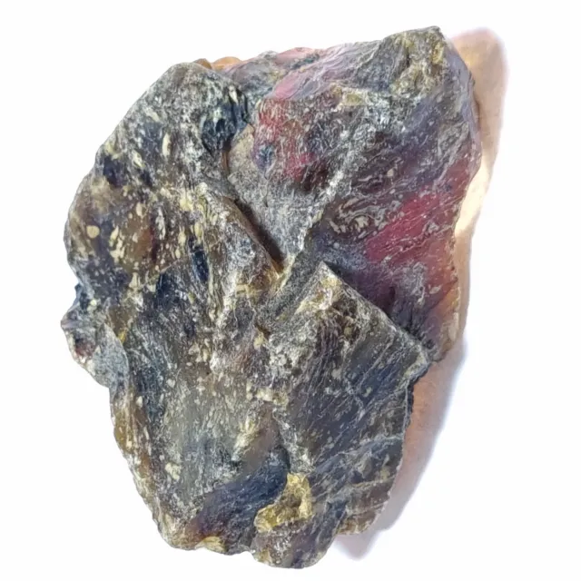 35.15  Carat Natural EGL Certified Baltic Amber Translucent rough Loose Gems