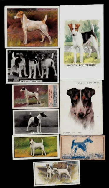9 Different Vintage SMOOTH-COATED FOX TERRIER Tobacco/Cigarette Dog Cards Lot