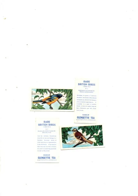Rare British Birds  Full Set 25 Cards Issued 1967  By Glengettie Tea Vg