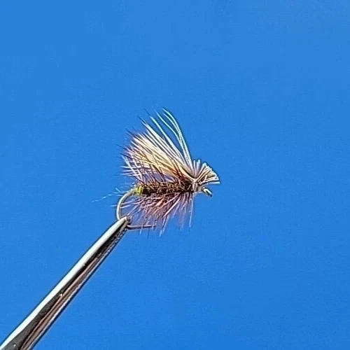 8 Mouches Sèches Caddis Sedgehog - Taille 14 - Sans Ardillon - Pêche à La Mouche Truite
