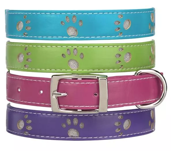 Zack Zoey Dog Collar Faux Leather  Paws green pink