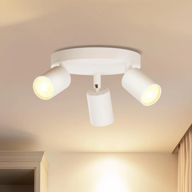 B.K.Licht Plafonnier 2 Spots Orientables LED – 2x5W GU10 4000K Blanc Neutre, Finition Titane, Idéal Salon, Cuisine, Couloir