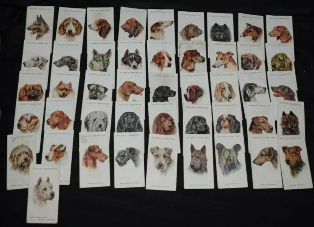 John Players & Sons Cigarette Cards - Dogs - Arthur Wardle Paintings (46)