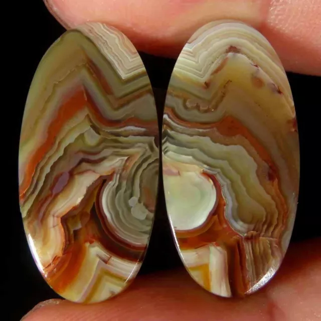 22.80Cts 100%Natural Crazy Lace Agate Oval Pair Cab 12x25x4mm Losse Gemstone