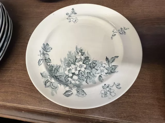 Vintage Crescent China George Jones and Sons "Colony" 9" Luncheon Plate