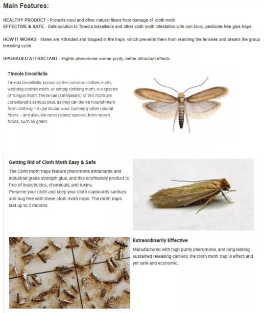 Clothes and Pantry Moth Traps Hybridized Natural Pheromone Safe 6 Pack 5