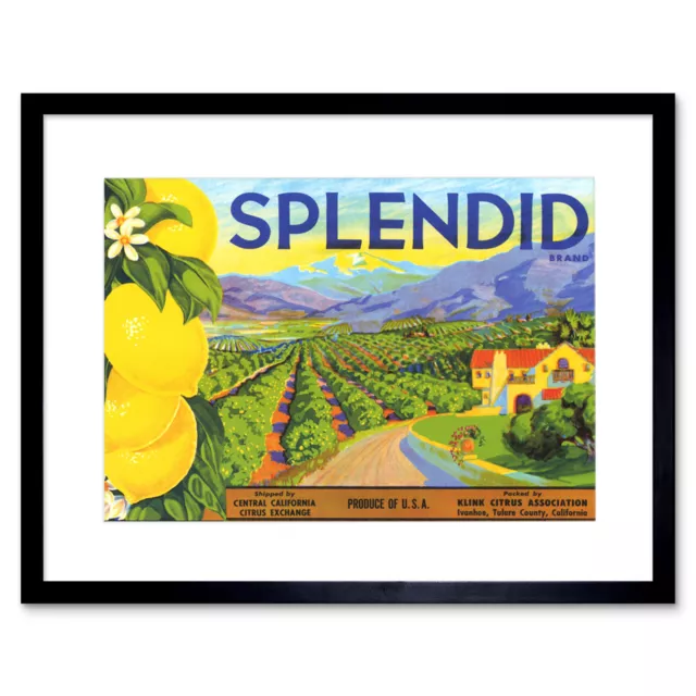 Advert Fruit Farm Food Brand Splendid Lemons Framed Wall Art Print