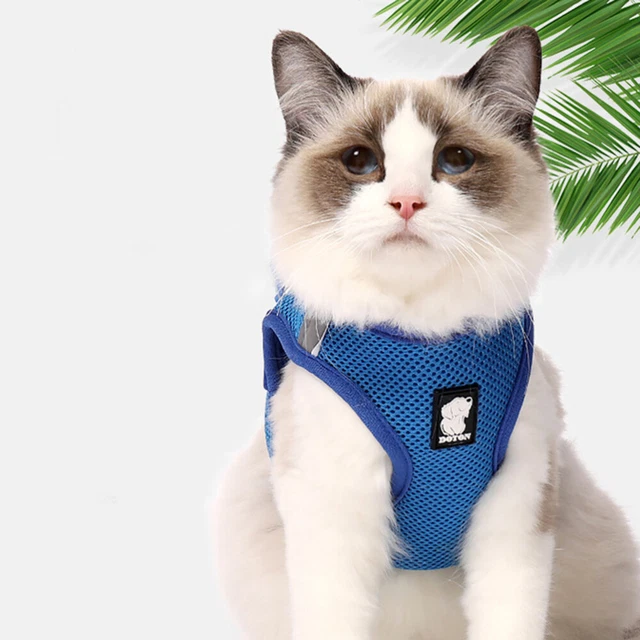 Cat Harness Leash Set Pet Cat Leash Harness Small Dogs Rabbit Harness Belt 2