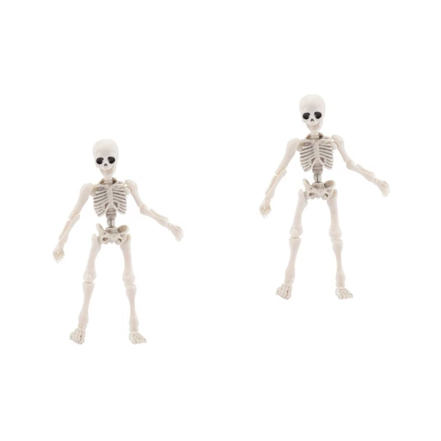 Skeleton toys for best sale sale
