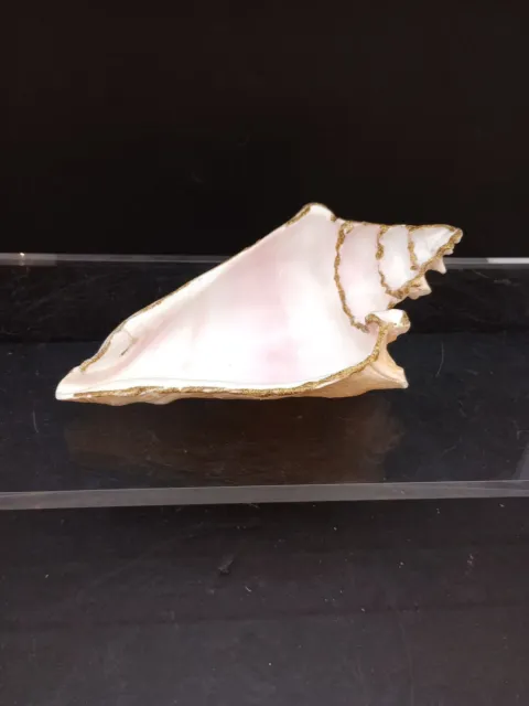 Vintage MCM Cut Conch Sea Shell ASHTRAY