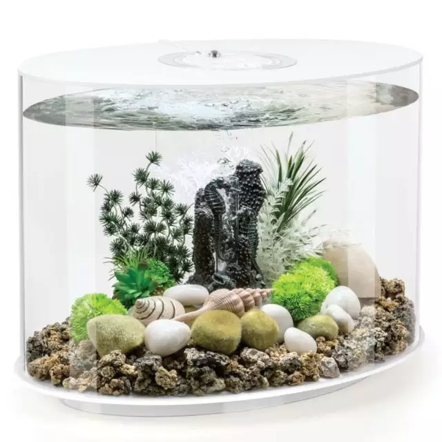 BiOrb LOOP 30 Aquarium Fish Tank MCR LED - White