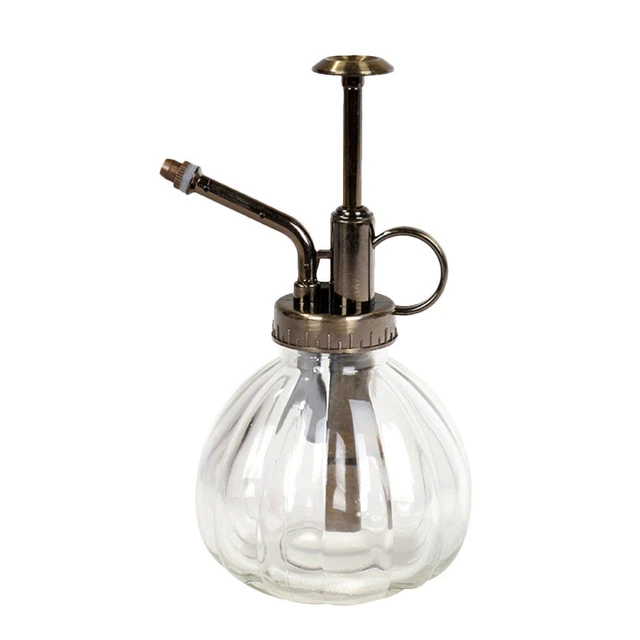 Gartenspritze Terrarienpflanzen Wasserflaschen Aus Glas Container
