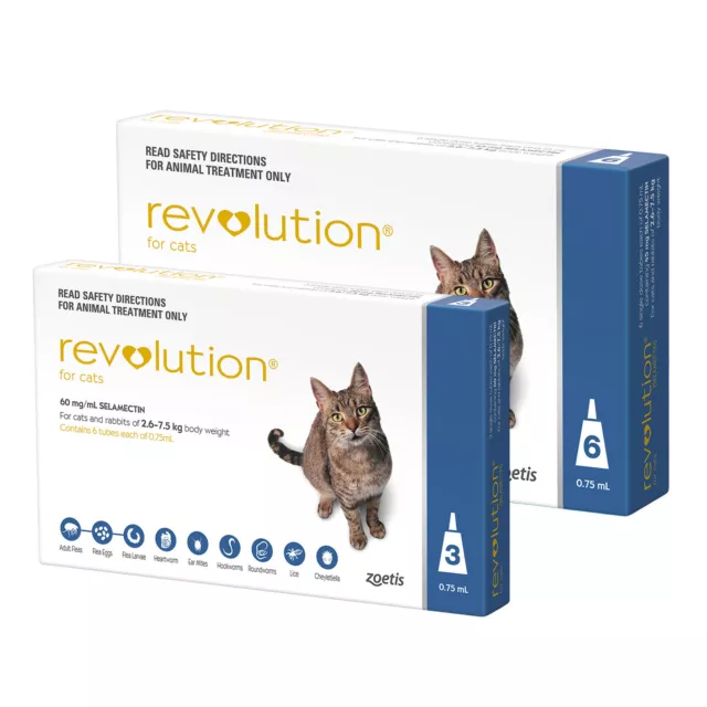 Revolution For Cats - All Sizes