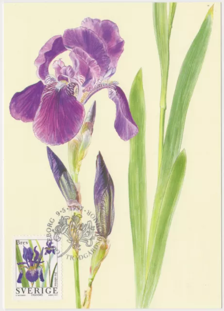 Sweden Maxi 1997, Garden Flowers, Flower, Siberian Iris, mint