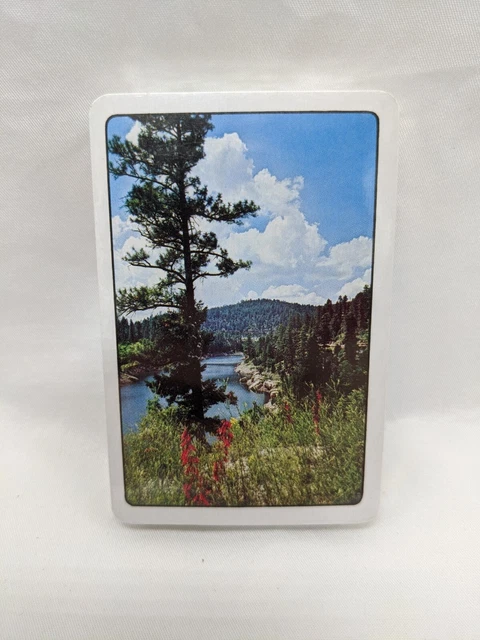 FOREST RIVER SCENIC Playing Card Deck £6.96 - PicClick UK