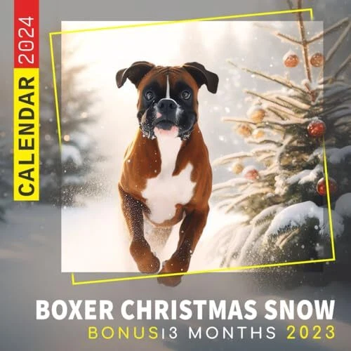 BOXER CHRISTMAS SNOW Calendar 2024 Jan 2024 to Dec 2024 Bonus 3 Months