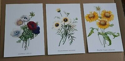 Set STOK LOTTO DI 3 CARTOLINE NUOVE per CHI AMA  I FIORI  (Flowers Postcards)