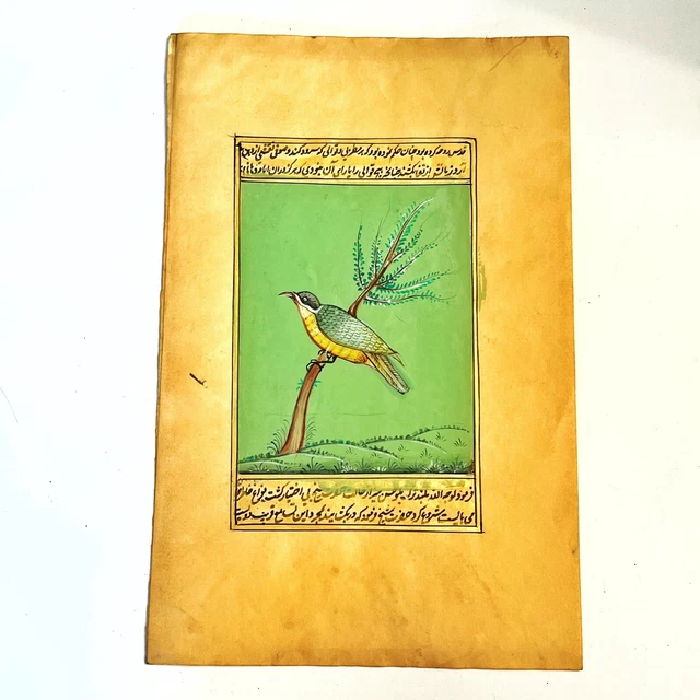 Middle Eastern Artwork Painting Of A Bird On Antique Urdu Book Leaf Decor — B
