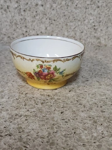Vintage Royal Winton Grimwades Clovelly Pattern Sugar Bowl Teacup England