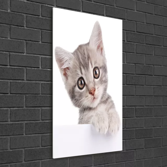 Wand-Bild Kunstdruck aus Hart-Glas Hochformat 50x100 Graue Katze