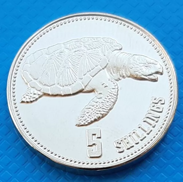 Somaliland 5 shillings 2019 UNC Sea Turtle